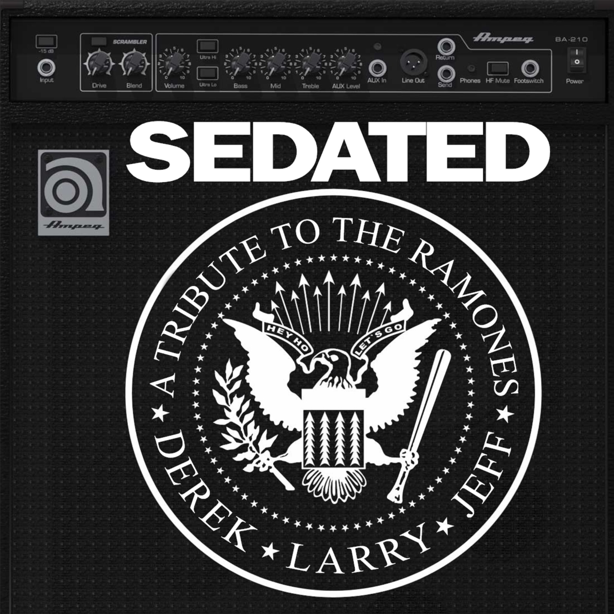 Sedated – The Ramones Tribute